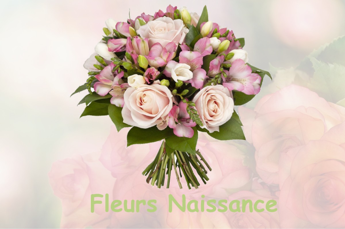 fleurs naissance VILLAINES-SOUS-MALICORNE