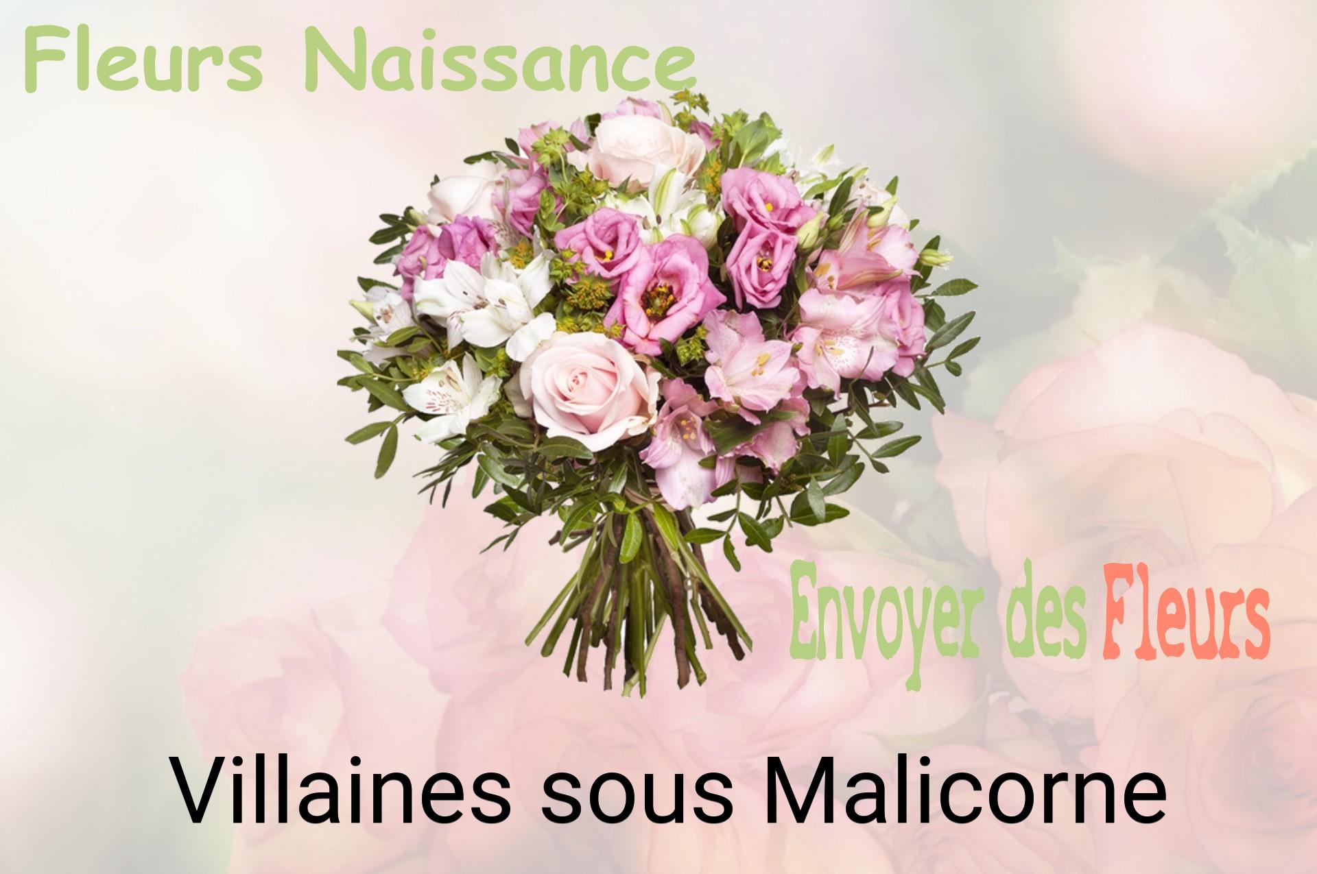 Bouquet de fleurs de naissance livré à Villaines-sous-Malicorne